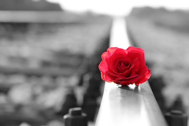 Cosa sono i ricordi? Emozioni…